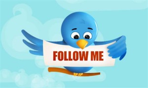 twitter_bird_follow_us